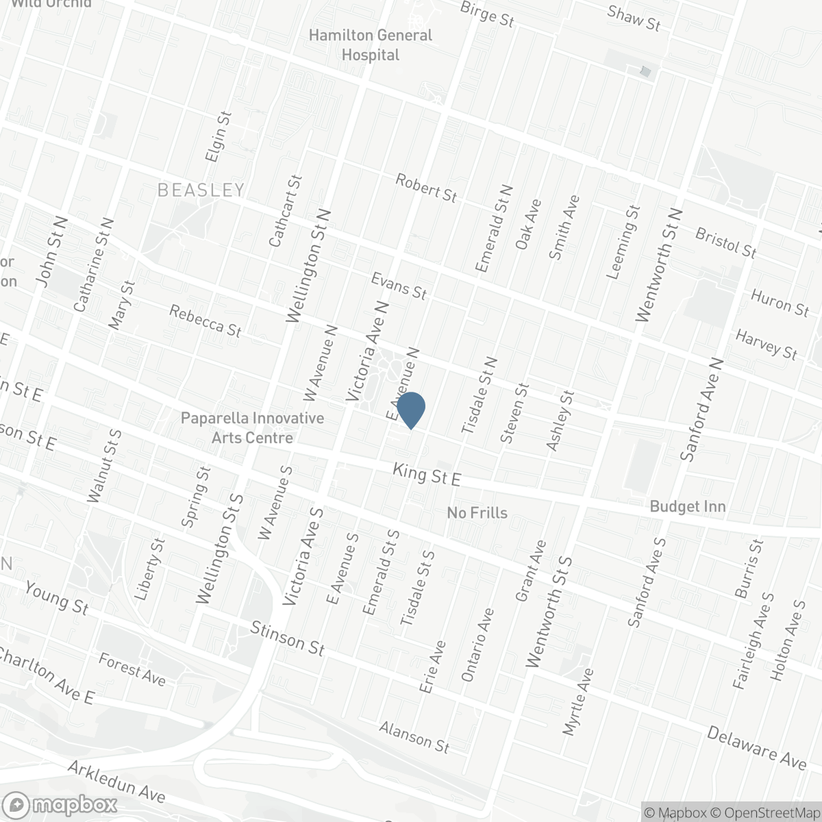 336 KING WILLIAM STREET, Hamilton, Ontario L8L 1P3